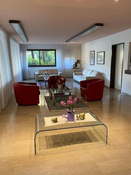 Ascona: Residenza Sabrina,App 2.5 Locali E Piscina Lejlighed Eksteriør billede